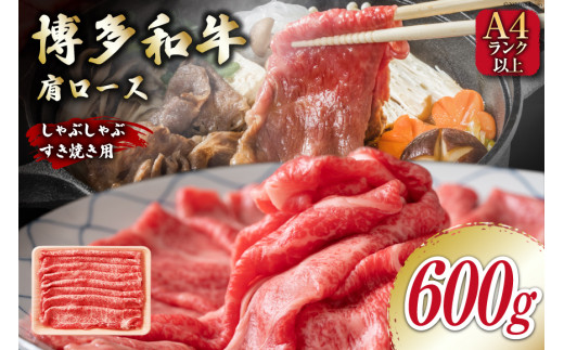 y}sz yA4`A5z a [X 600g ԂĂp [MEAT PLUS  }s 21761018]