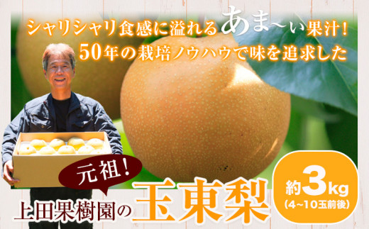 上田果樹園の元祖！玉東梨(旬の品種をお届けします)約3kg(4玉-10玉