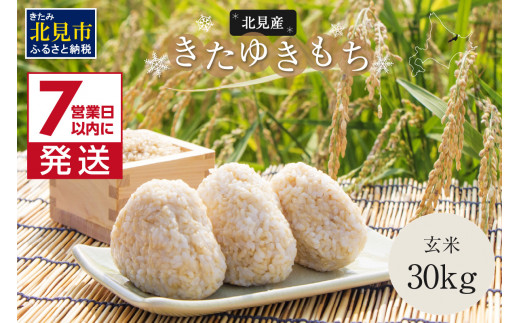 7営業日以内に発送》北海道産きたゆきもち 玄米 30kg ( 米 お米 モチ米