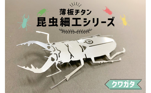 ふるさと納税「クワガタ」の人気返礼品・お礼品比較 - 価格.com