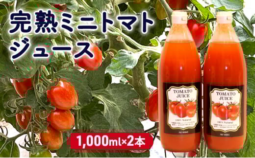 y쌧szn~jg}gW[X 1,000ml×2{ ʏ` ؈ W[X   q ߂   h{ N Zbg[5915-1304]