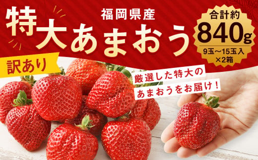 【2024年1月上旬より順次発送】【訳あり】特大 あまおう 9玉～15玉入×2箱 約840g いちご 苺