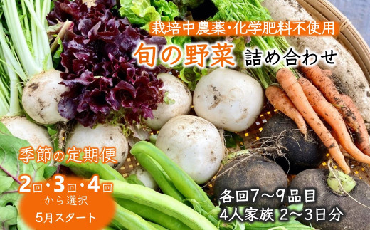 旬の野菜セット 春野菜 7～9品目 4人家族 2～3日分 栽培期間中農薬