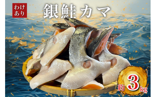 訳あり＞人気海鮮お礼品 銀鮭カマ 約3kg【1389618】 - 千葉県いすみ市 