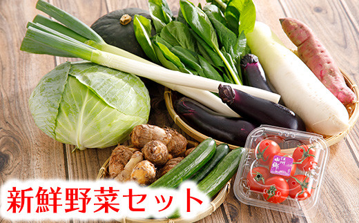 近江野菜詰め合せセット【1.5㎏～2㎏】【K002SM】 - 滋賀県近江八幡市