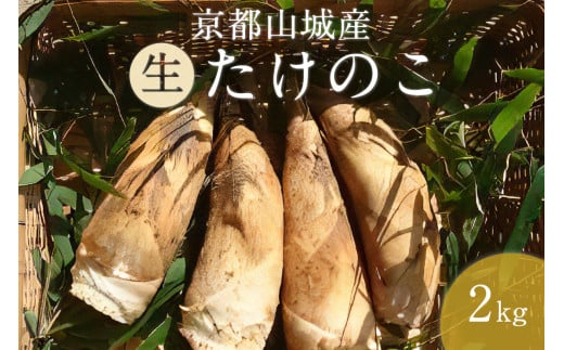 京都山城産たけのこ２ｋｇ（生）白子たけのこ たけのこ タケノコ 筍 竹の子 柔らかい 農家直送【016-01】 - 京都府木津川市｜ふるさとチョイス  - ふるさと納税サイト