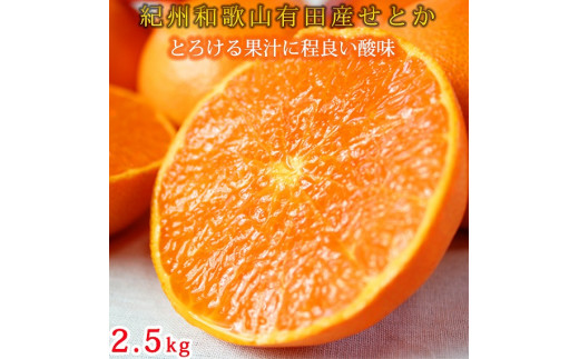 ya̎RxRzIBLcYƂ2.5kg@Ƃ낯HIW[V[ky2026N2{ȍ~zys\zyUT02z