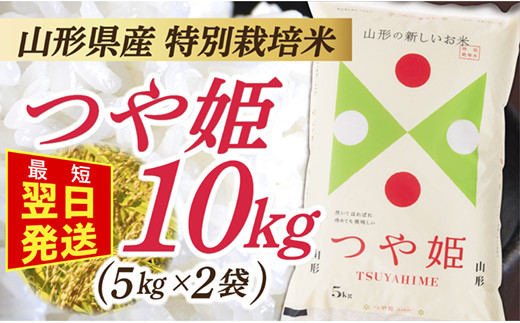 最短翌日発送】【令和5年産】 山形県産 特別栽培米 つや姫10kg (5㎏×2袋) - 山形県最上町｜ふるさとチョイス - ふるさと納税サイト