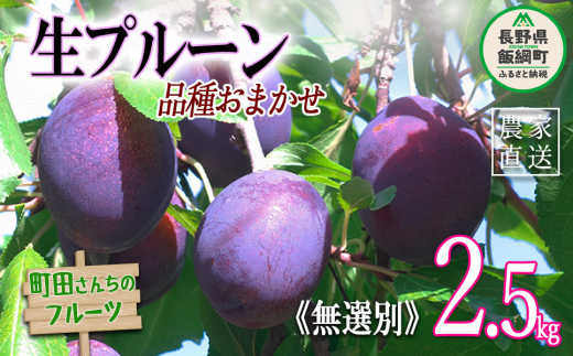 プルーン 家庭用 2.5kg （2kg箱詰め） 無選別 沖縄県への配送不可 2024