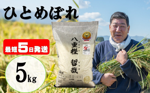 最短５日以内で発送！【 令和5年度産 】 ひとめぼれ 5㎏ 米・食味分析