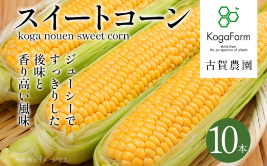 朝採り スイートコーン 10本 朝採り 高糖度 期間限定 甘い あまい フルーツ並 朝どり 朝採れ 朝どれ スイートコーン コーン 旬 とうもろこし  農家直送 野菜 自宅用 家庭用 トウモロコシ 福岡県古賀市｜ふるさとチョイス ふるさと納税サイト
