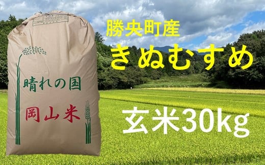 令和6年産 食味コンテスト受賞者の作るお米シリーズ「きぬむすめ玄米30kg」_【11月から3月発送】_S102 - 岡山県勝央町｜ふるさとチョイス -  ふるさと納税サイト