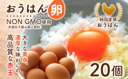 純国産鶏の卵 おうはん卵 20個入り 卵 生卵 たまご タマゴ 玉子 赤玉