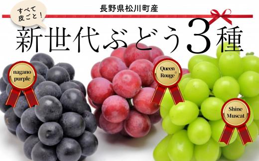 TK05-24A ぶどうプレミアムスリー（ナガノパープル／クイーンルージュ🄬／シャインマスカット）約1.5kg／2024年9月中旬～下旬頃配送予定  //長野県 南信州 種なし 皮ごと 食べ比べ 詰め合わせ 食べ比べ 贈答 ギフト 新鮮 希少 先行予約 - 長野県松川町｜ふるさとチョイス ...