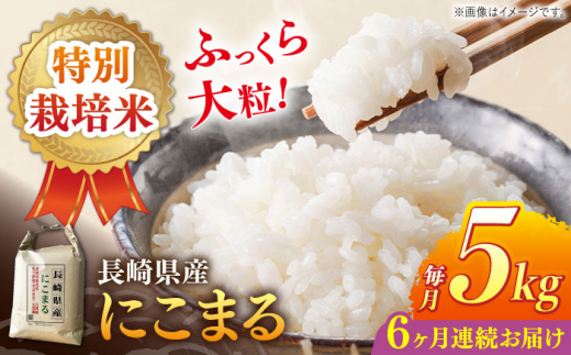 全6回定期便】 長崎県産 特別栽培米 にこまる 5kg 長崎市/竹下米穀店
