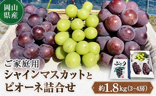 先行予約 2024年10月発送開始予定 岡山県産 ご家庭用 シャインマスカットとピオーネ詰合せ 訳あり TY0-0330 -  岡山県津山市｜ふるさとチョイス - ふるさと納税サイト