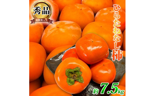 ya̎Rxczj`iЂ炽˂ȂjV.Tkg@a̎RH̖om2026NnmUT37n