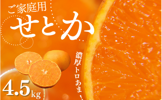 ご家庭用 たにぐち農園のせとか 4.5kg 大小混合【2025年3月中旬