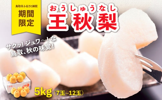 1210 王秋梨 5キロ(やぶやフルーツガーデン) - 鳥取県鳥取市｜ふるさとチョイス - ふるさと納税サイト