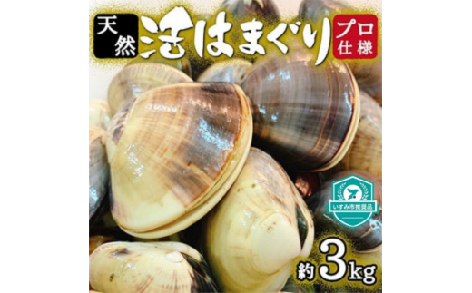 ふるさと納税 いすみ市 天然はまぐり約1.5kg (千葉県産) - 貝類