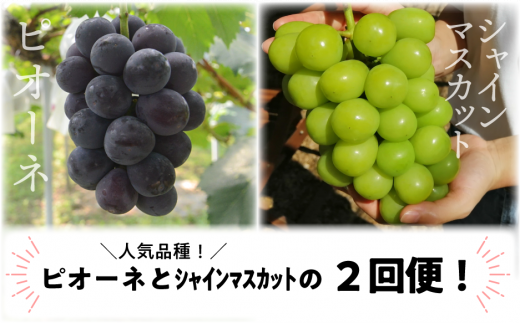 yR^szy2026s\zsI[lƃVC}XJbĝ2[͂2ցI ()(RY)yKF-T040-02z