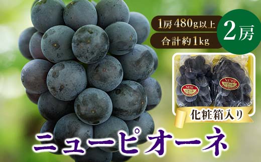 yRÎRszstRY@j[sI[l2[ (1[480gȏEv1kg)@ϔ_ j[sI[l Ԃǂ  uhE ʕ  Ȃ sI[l t[c lC 