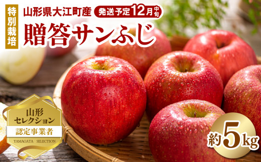 りんさん様、専用 きりん様用 ねぎりんさま専用 りん様 りん さま専用 りんさま専用 ZX