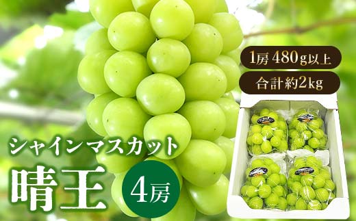 2024年発送＞岡山県産 シャインマスカット『晴王』4房(1房480g以上・合計約2kg) TY0-0568 - 岡山県津山市｜ふるさとチョイス -  ふるさと納税サイト