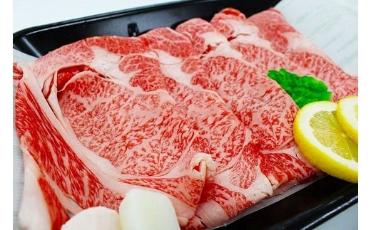 yÎszyA5NzaiԂԗpj[F2076]