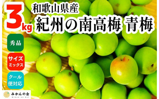 【2024年6月上旬出荷】青梅 南高梅 3kg 秀品 サイズミックス （訳あり） 和歌山県産 A品 梅酒作り用 梅ジュース作り用