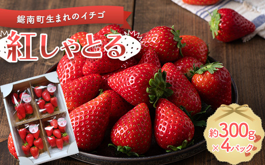 yt쒬zy_z 쒬܂̃C`SVi ugƂv 300g×4pbN  fU[g 300g 4pbN v1200g 1.2kg 嗱 ʕ t[c Hו낢 XC[c P[L X