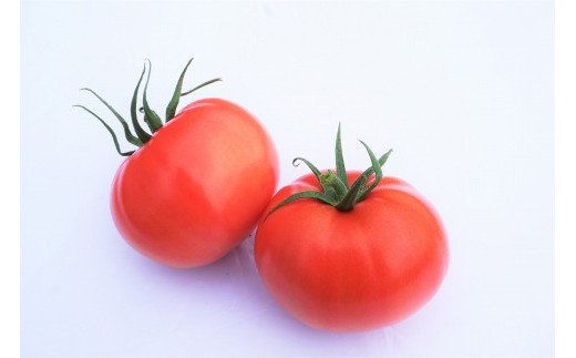 yÎszy2025N11`2026N5zÎYl߃g}g@2Zbg񂸂̗[G0043]