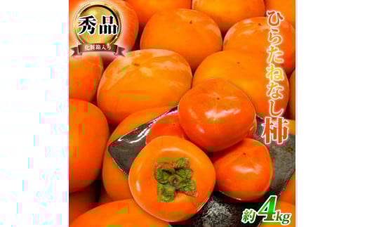 ya̎R쒬zj`iЂ炽˂ȂjSkg@ϔ@a̎RH̖om2026NnmUT36n