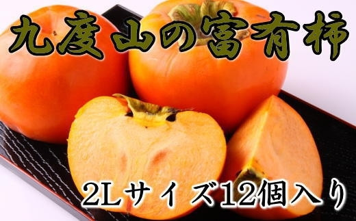 ≪柿の名産地≫九度山町の富有柿2Lサイズ12個入り※着日指定不可※2024年11月上旬～12月上旬頃に順次発送予定