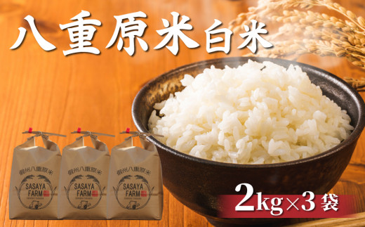 令和7年新米予約！八重原米 白米6kg(2kg×3袋) ※2025年10月以降順次発送