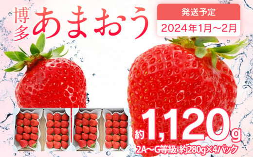 先行予約 あまおう 合計約1,120g 約280g×4パック 福岡県産 九州