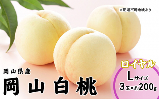 yR˓sz 2026N s\ R  C 3×200giLTCYj RY JA܂̂  RY Y t[c ʕ Mtg  [5735-1989]