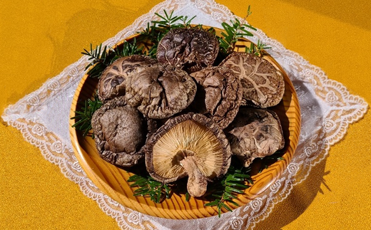 y쌧LuzA-106 y؍͔|zY 190