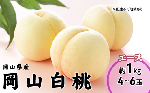 yR˓sz 2026 Ns\ R  G[X 4`6 1kg RY JA܂̂  RY Y t[c ʕ Mtg  [5735-1982]