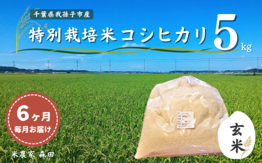 毎月定期便6回】冷めても美味しい！ 特別栽培米 コシヒカリ 5kg×6回 計30kg（玄米） 農家直送 千葉県産 - 千葉県我孫子市｜ふるさとチョイス  - ふるさと納税サイト