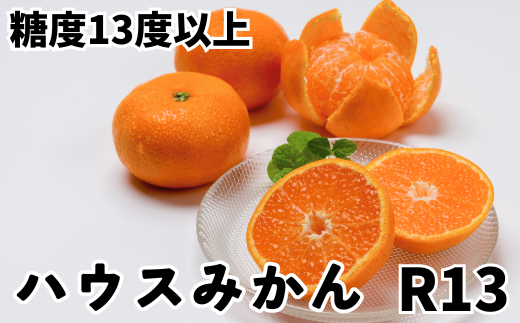 【糖度13度以上！】[プレミアムハウスみかんR13] 1kg 化粧箱入 みかん 温州ミカン 1kg 甘い 秀品 柑橘類 糖度 6月 7月 ハウスみかん  フルーツ 先行予約 九州 大分 杵築 ＜132-013_5＞ - 大分県杵築市｜ふるさとチョイス - ふるさと納税サイト