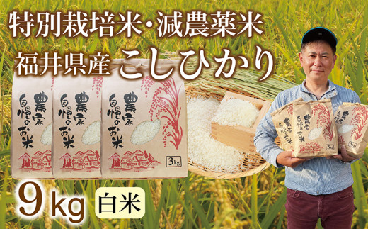 先行予約・新米〉減農薬米 こしひかり 9kg(3kg×3袋）／令和6年 福井県産 （白米）2024年10月発送 人気品種 少量サイズ便利 -  福井県越前市｜ふるさとチョイス - ふるさと納税サイト