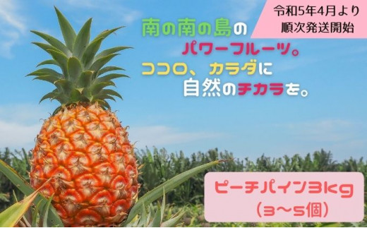 2024年4月中旬発送開始。『西表島産ピーチパイン』は国内流通量1％未満