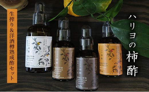 y򕌌CÎsz[5533-0076]n̊`|@聕mMn|