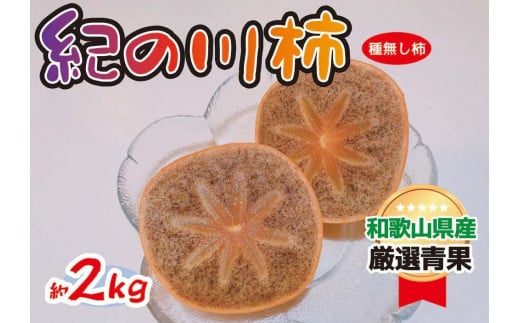 ya̎RxRzĊÂ I̐` 2kg a̎RIWimKF03n