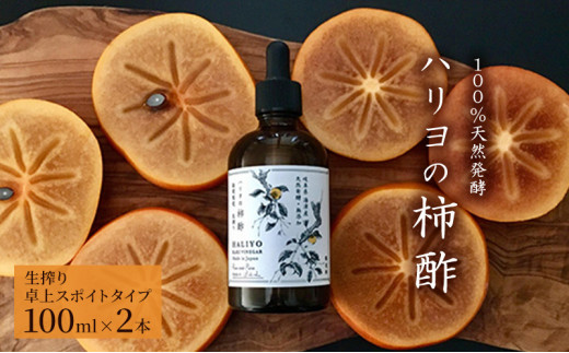 y򕌌CÎsz[5533-0074]100VRyn̊`|@iX|Cg^Cvj