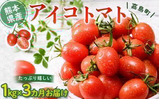 yF{ÓzFK7-0211 y3JzÓYACRg}g1kg  Yn Y L@엿 Â t[eB[ ~jg}g v`g}g Rs VN tbV T_ H  Hi