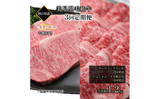 yR˓szјa  3񔭑 T[CXe[L 400g ×2 Ԃ Ă p 400g ×1 v 1.2kg A4 ȏ t T[C  q R [5735-1