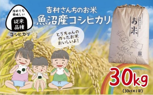 yV\szb]ib Y RVqJ 30kg  Ђ  R V  Y   VY  Y _ƒ  g񂿂̂ V \