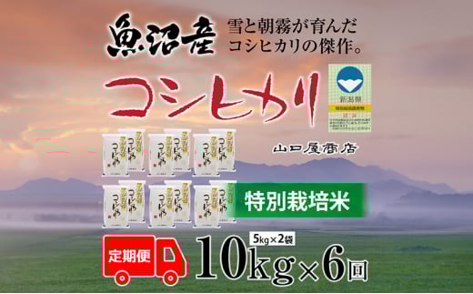 yV\sz S6 ʍ͔| YRVqJ 5kg×2